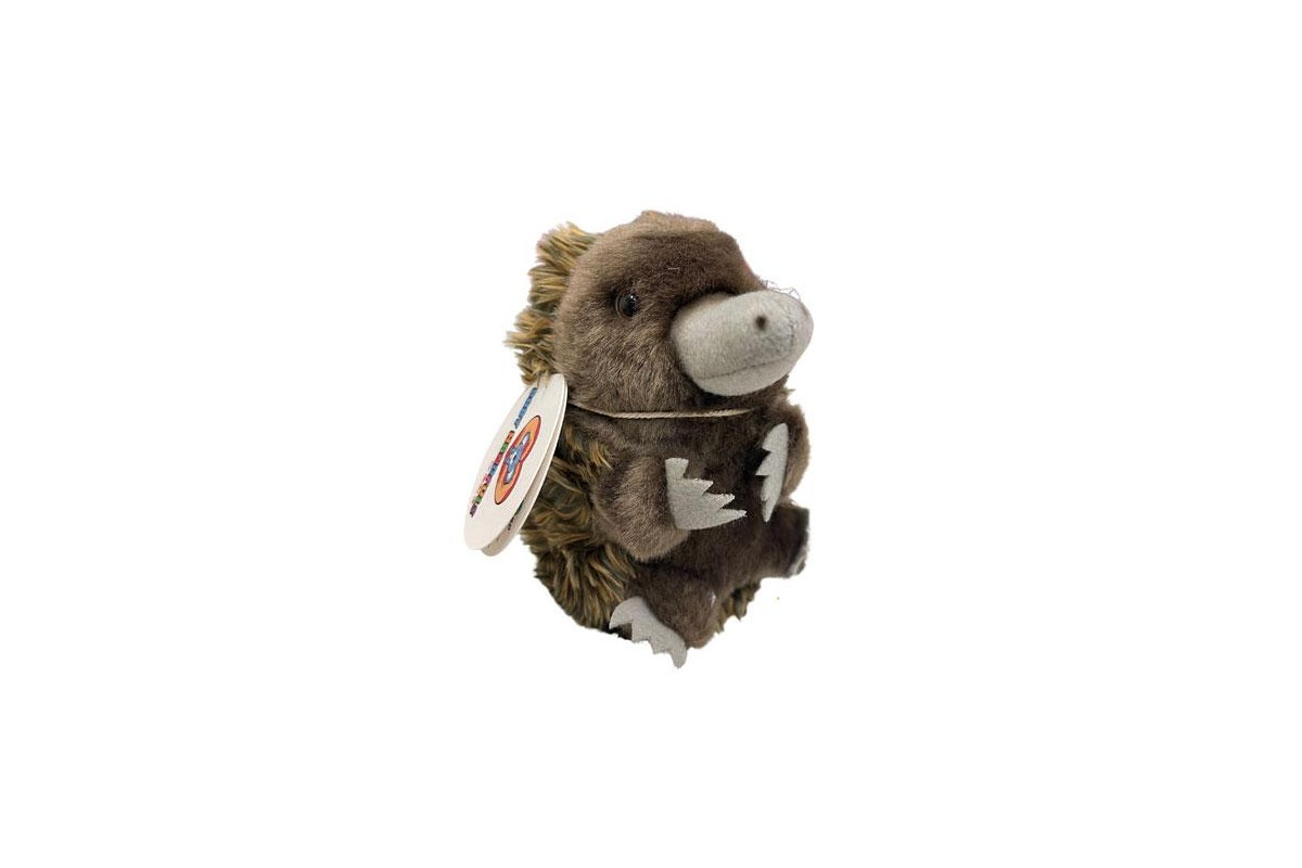 Baby Handfuls Echidna -13cm