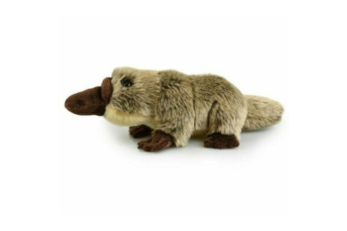 Eco Platypus - 28cm