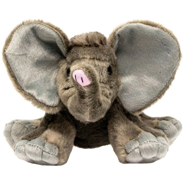 Mini African Elephant Baby