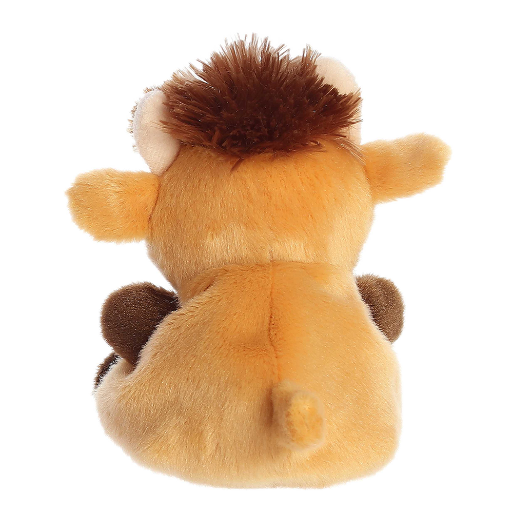 Hubert Highland Cow