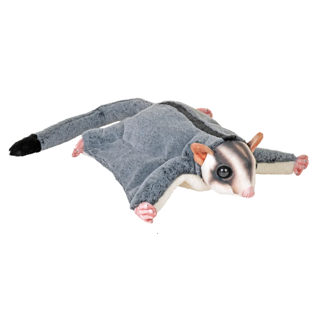 Artist Collection - Sugar Glider