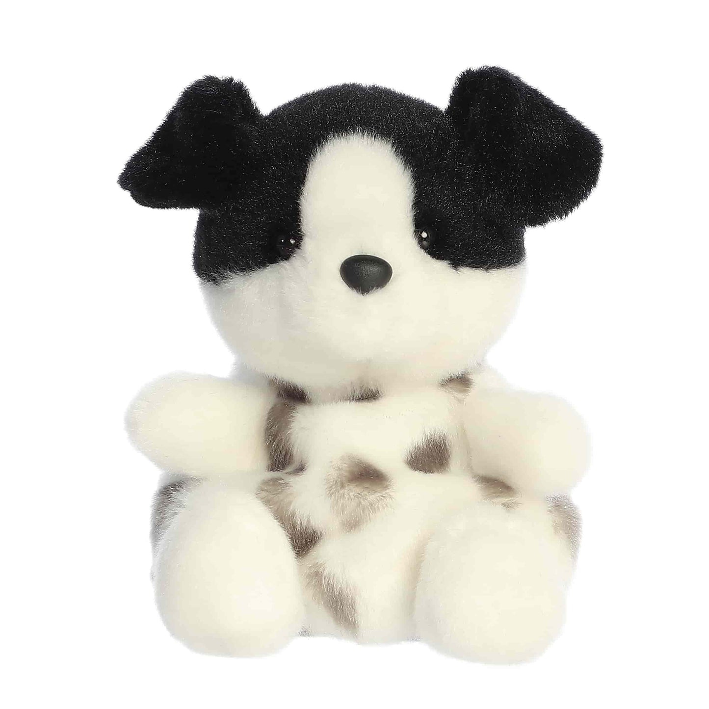 Snorkels Black & White Dog