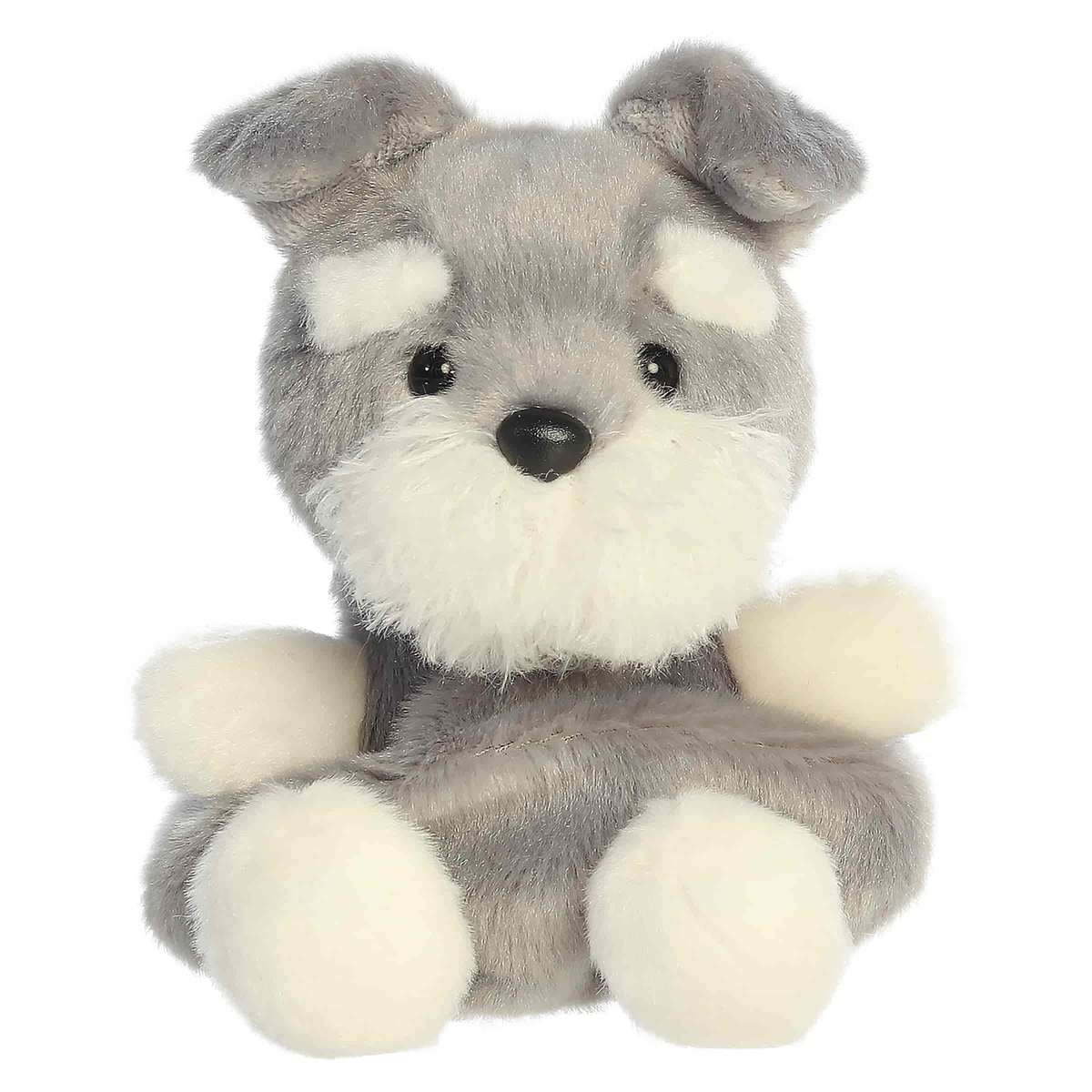 Korra Schnauzer