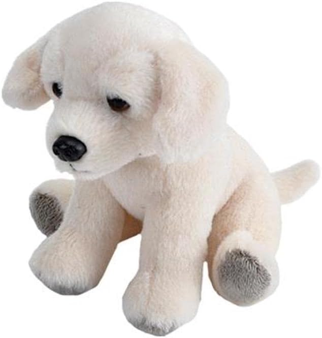 PocketKins - Yellow Labrador