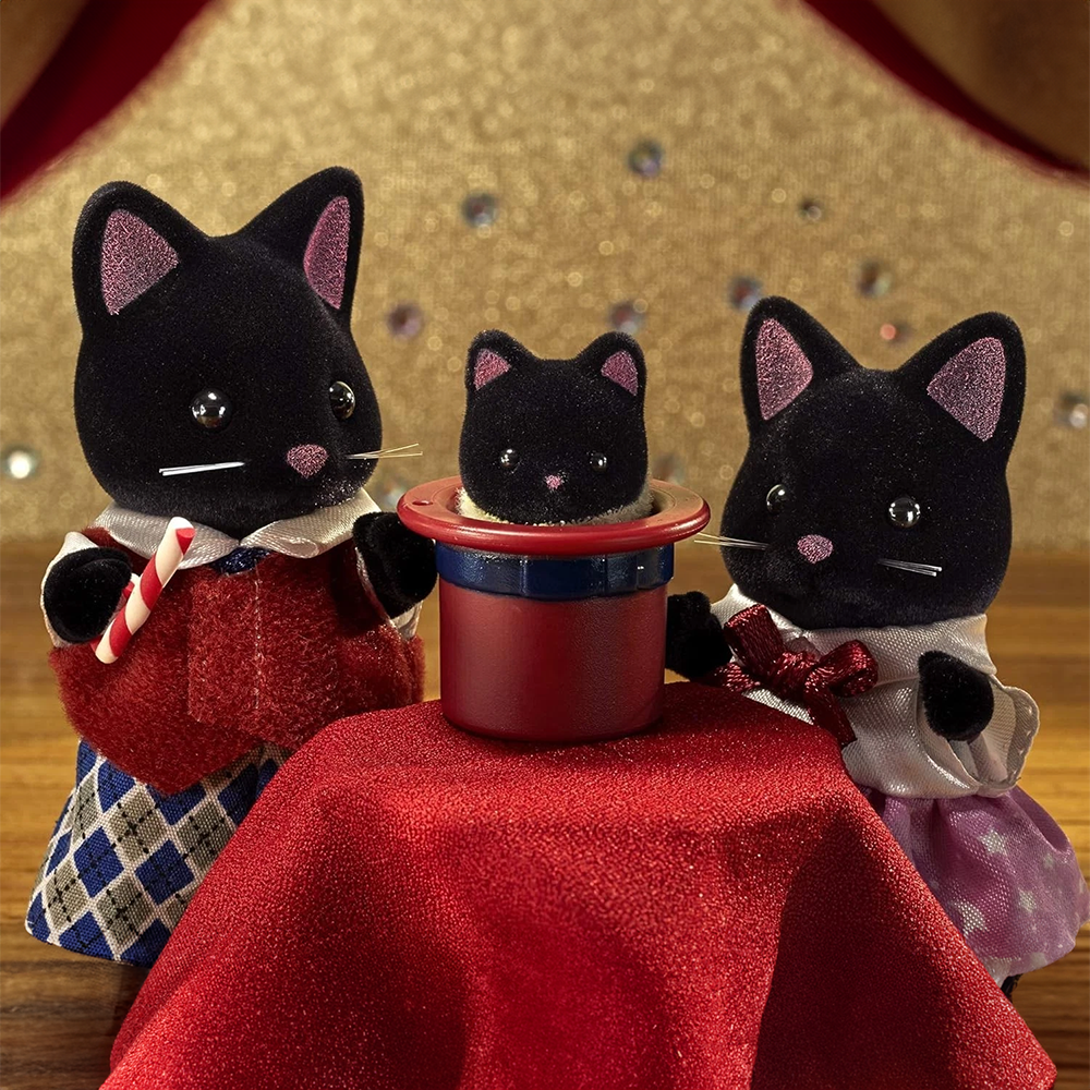 Midnight Cat Family
