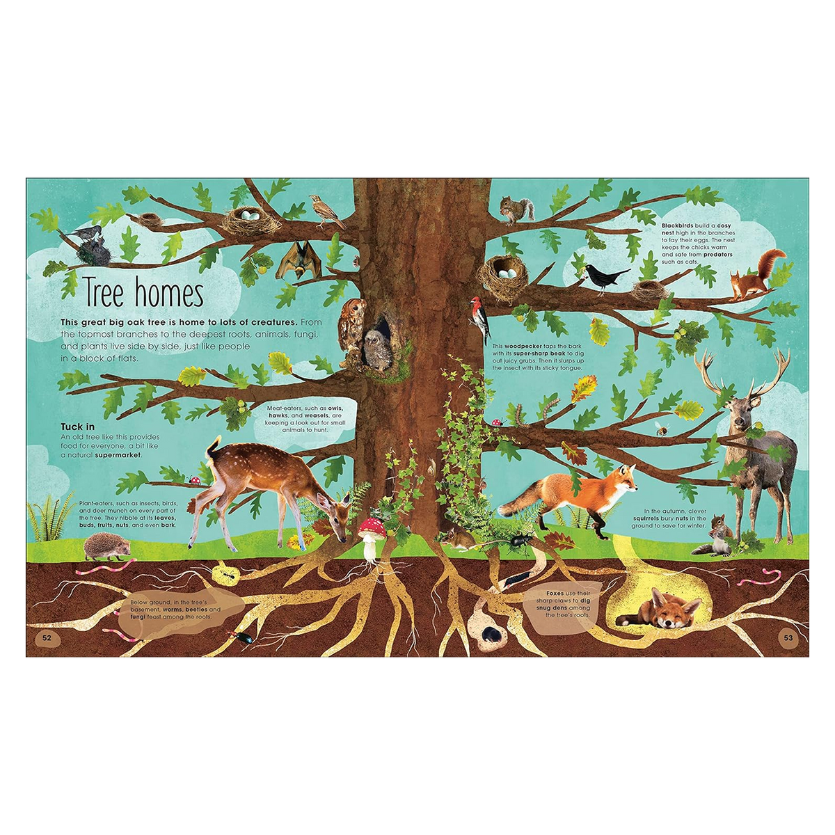 The Magic & Mystery of Trees