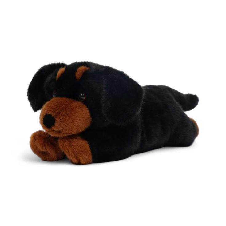 One Love Pumpkin Daschund