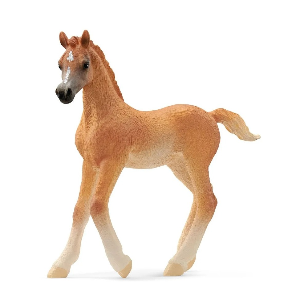 Arab Foal - V2