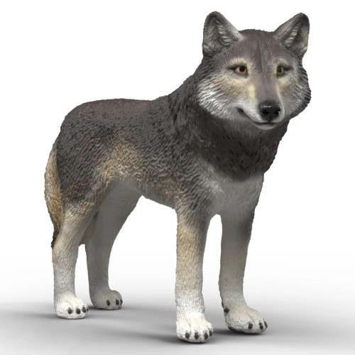 American Wolf