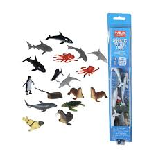 Aquatic Wonders