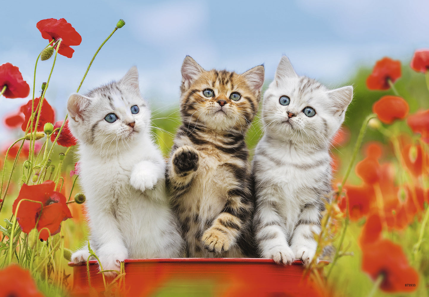 2 x 12 pc Puzzle - Kitten Adventures
