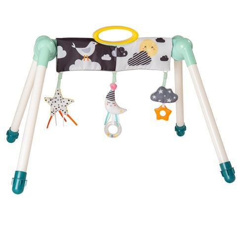 Mini Moon Gym43