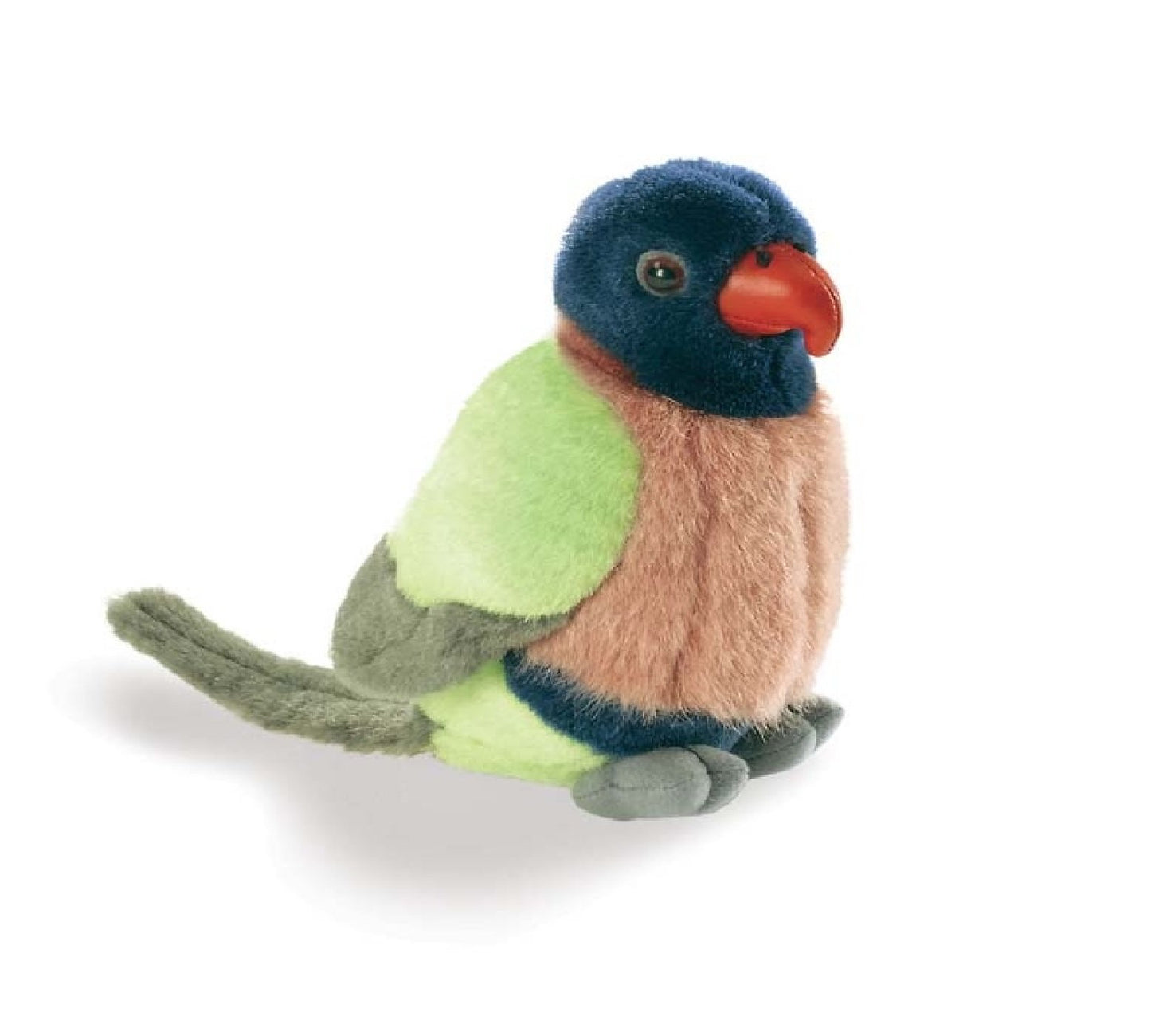 Birds with Sound - Rainbow Lorikeet