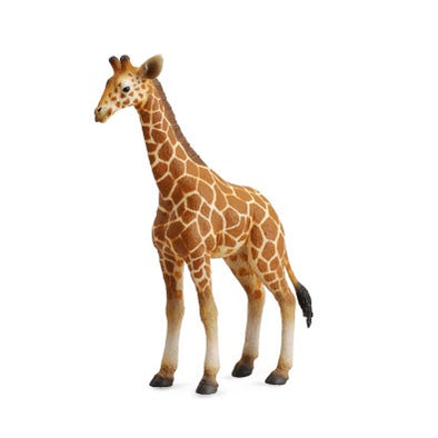 Reticulated Giraffe Calf Figurine