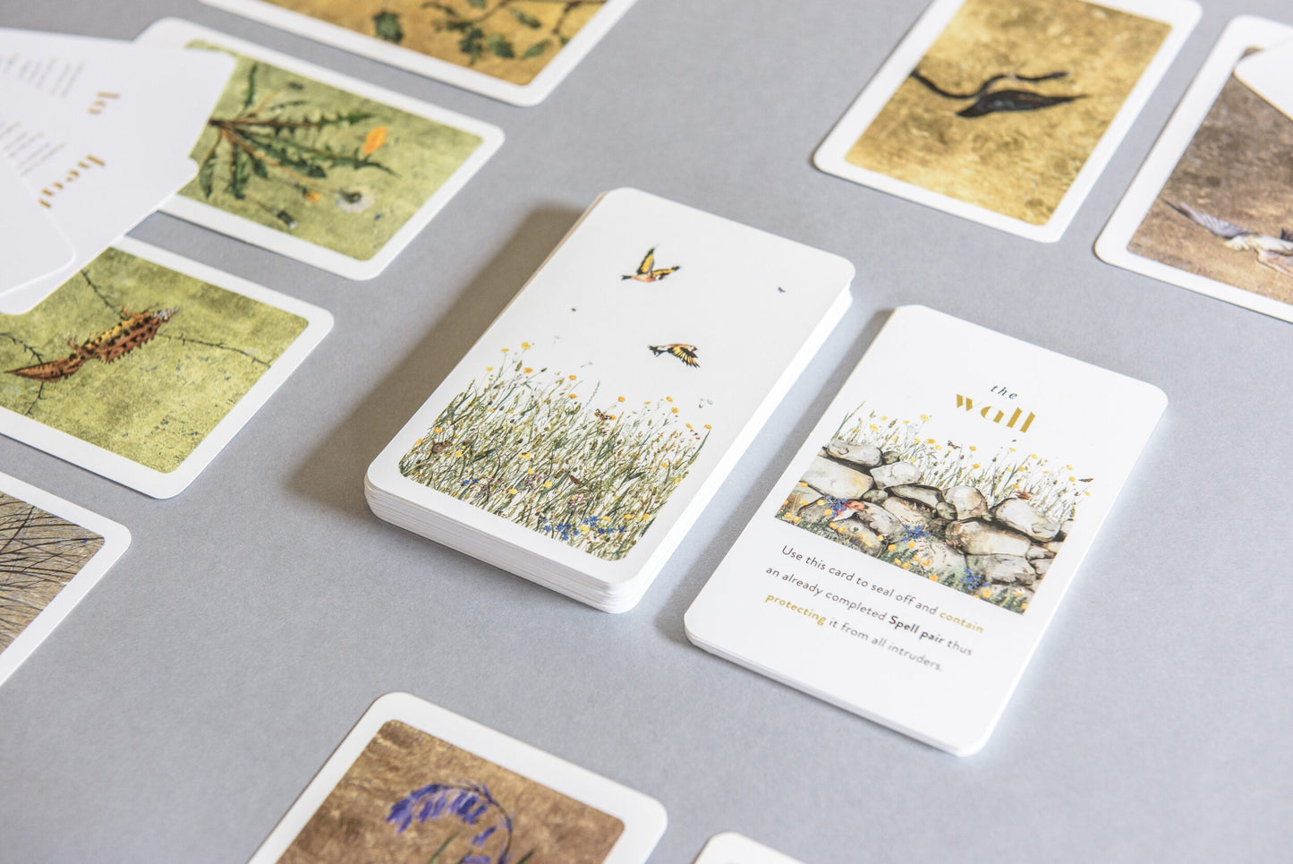 The Lost Words Card Game