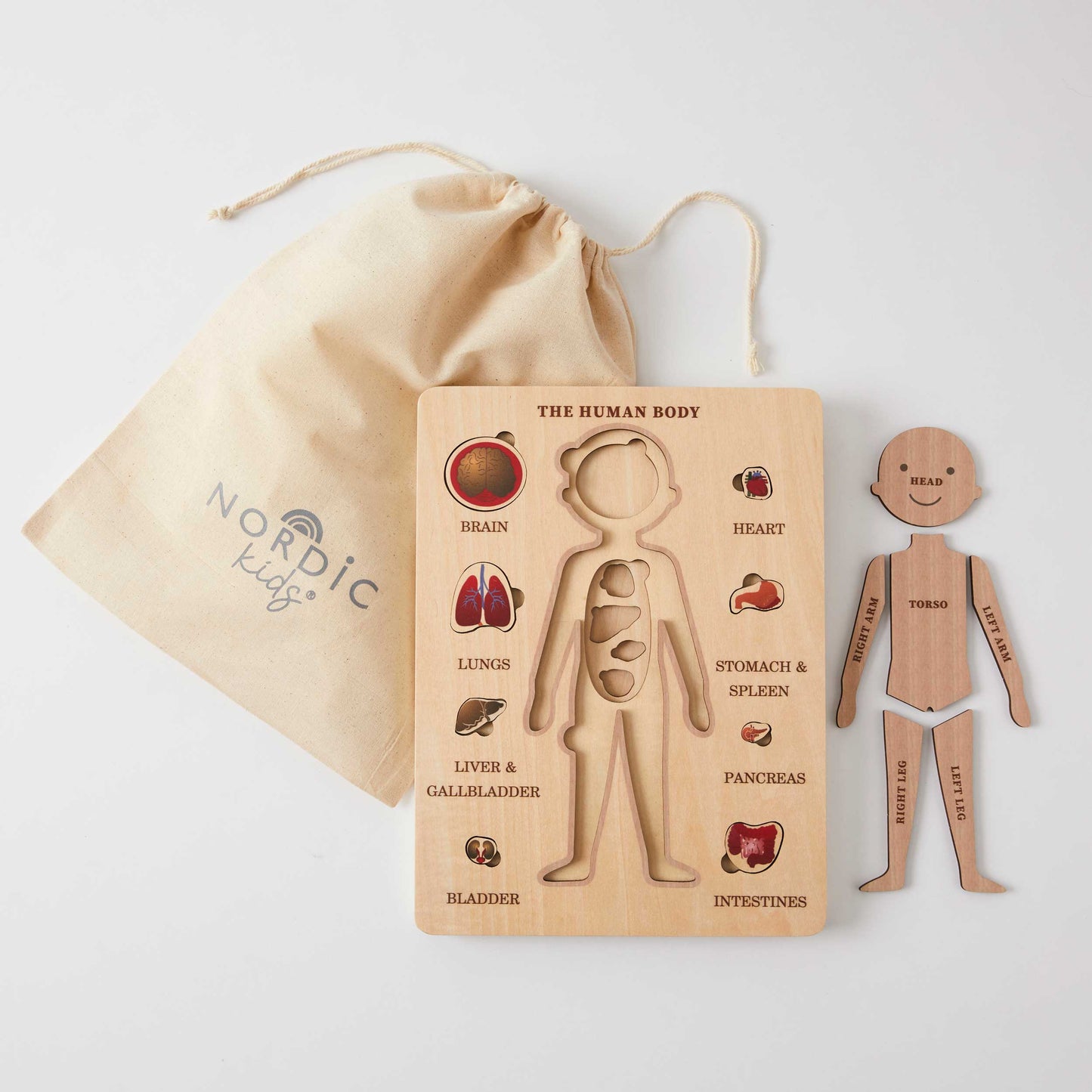 Human Body Puzzle