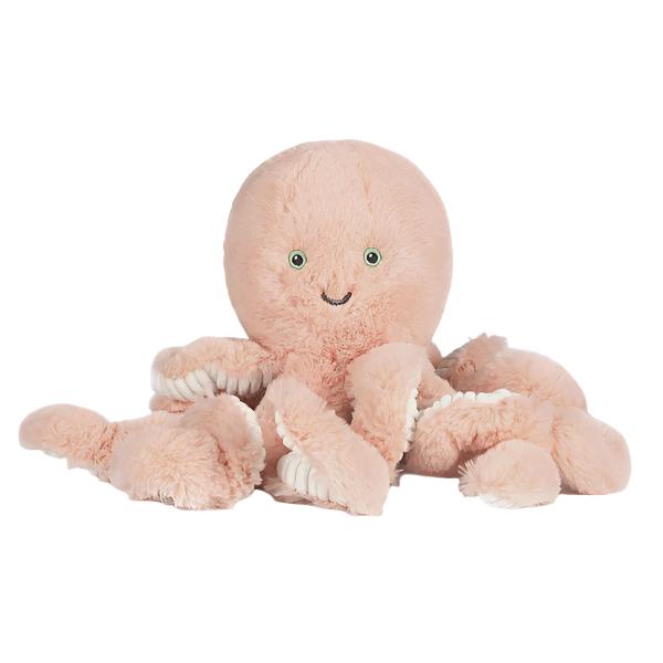 Little Cove Octopus