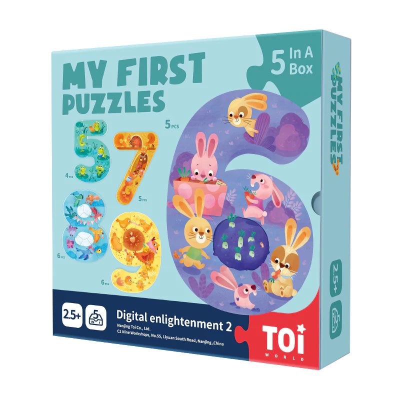My First Puzzles - 5 In A Box