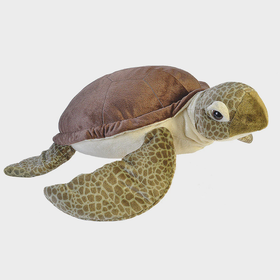 Jumbo Turtle