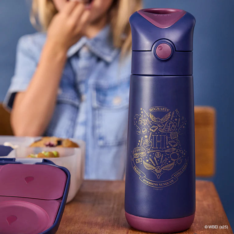 500 ml Insulated Drink Bottle - Harry Potter