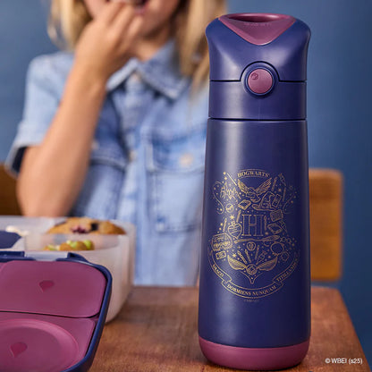 500 ml Insulated Drink Bottle - Harry Potter