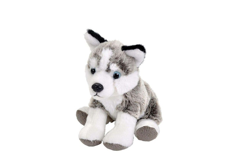Pocketkins -Eco Husky