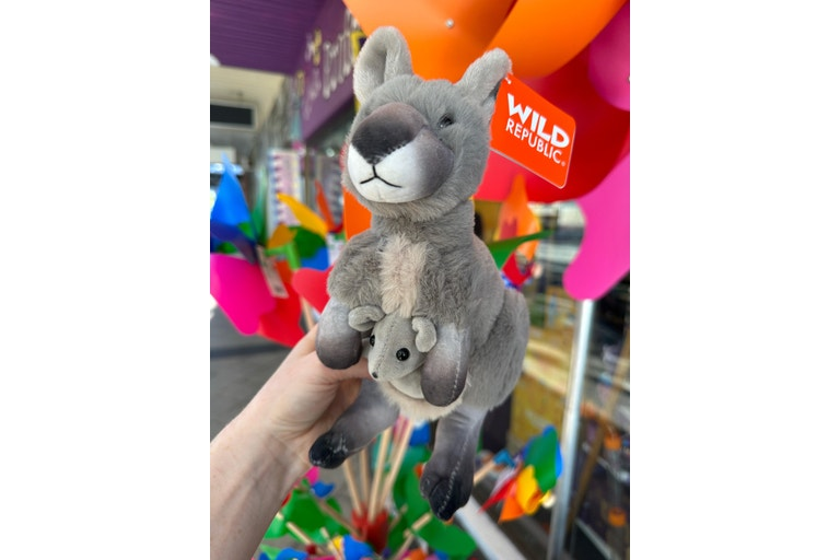 Artist - Mini Kangaroo