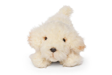 Labradoodle Playful Pup