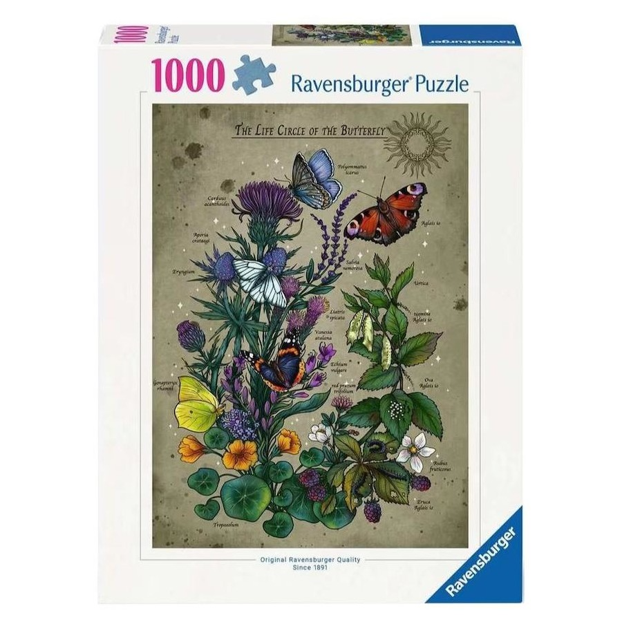 1000 pc Puzzle - Lifecircle Butterfly