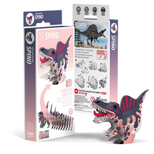3D Cardboard Model Kit - Spino