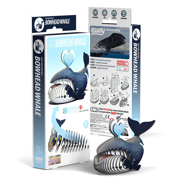 3D Cardboard Model Kit - Bowhead Whale