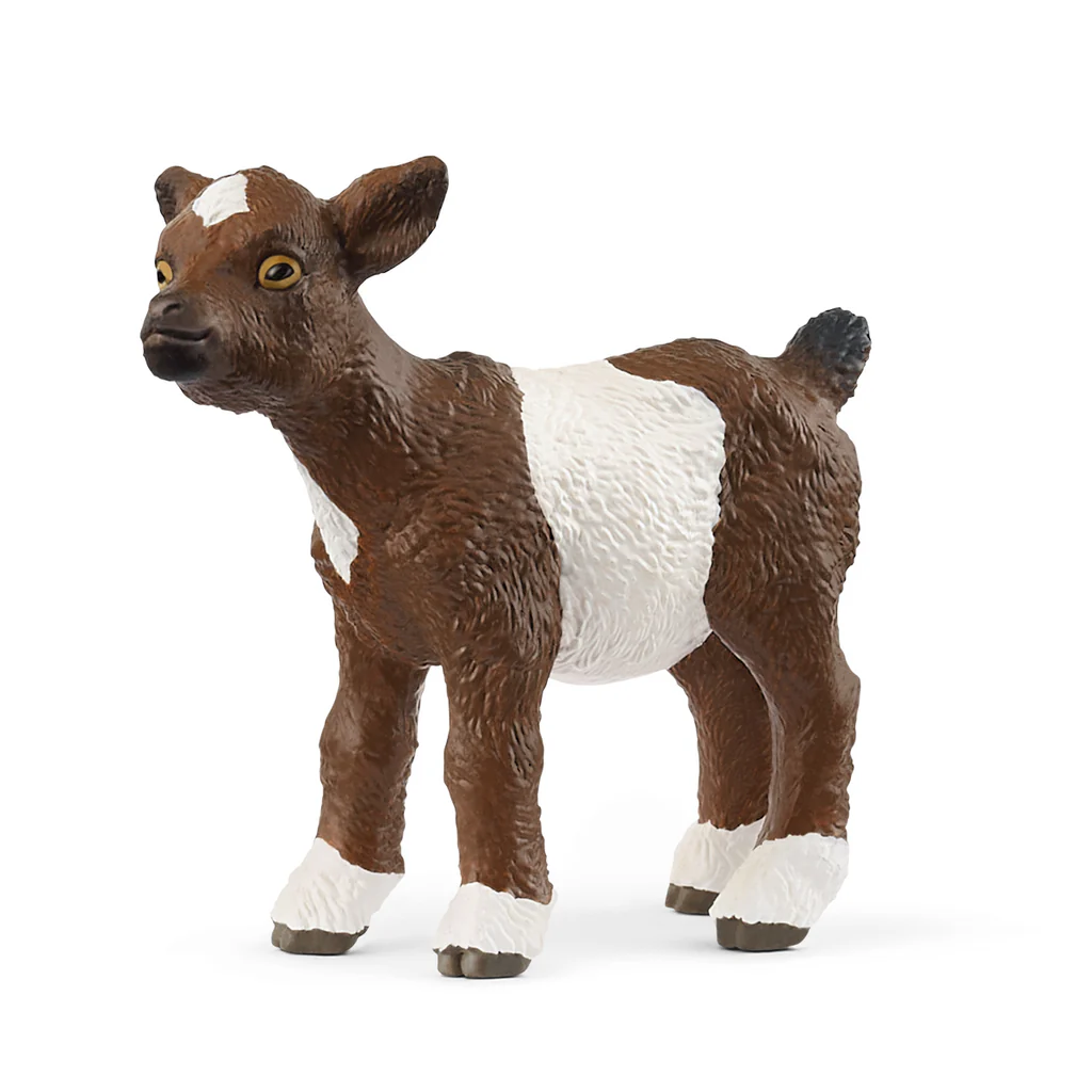 Goat Kid 2025