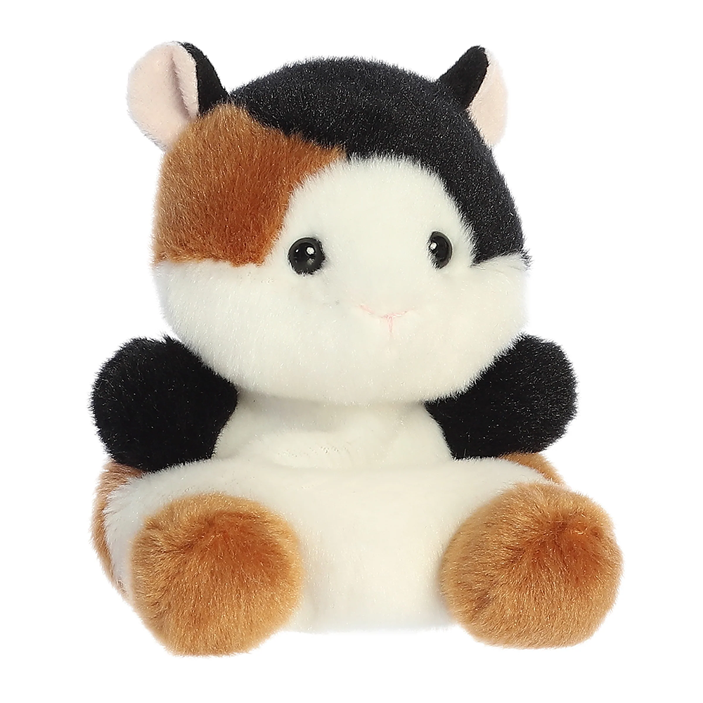 Nutmeg Guinea Pig