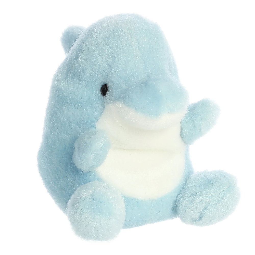 Clicks Dolphin