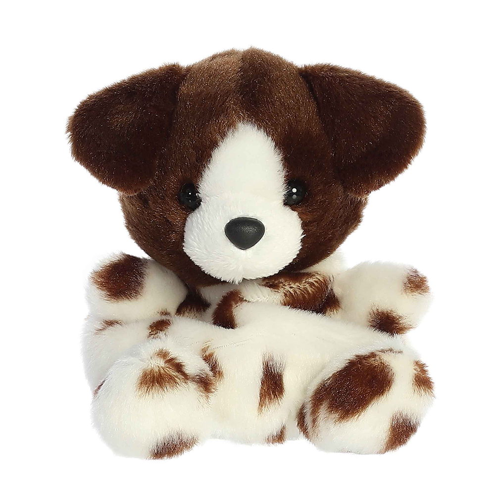 Freckles German Short Hair Pointer