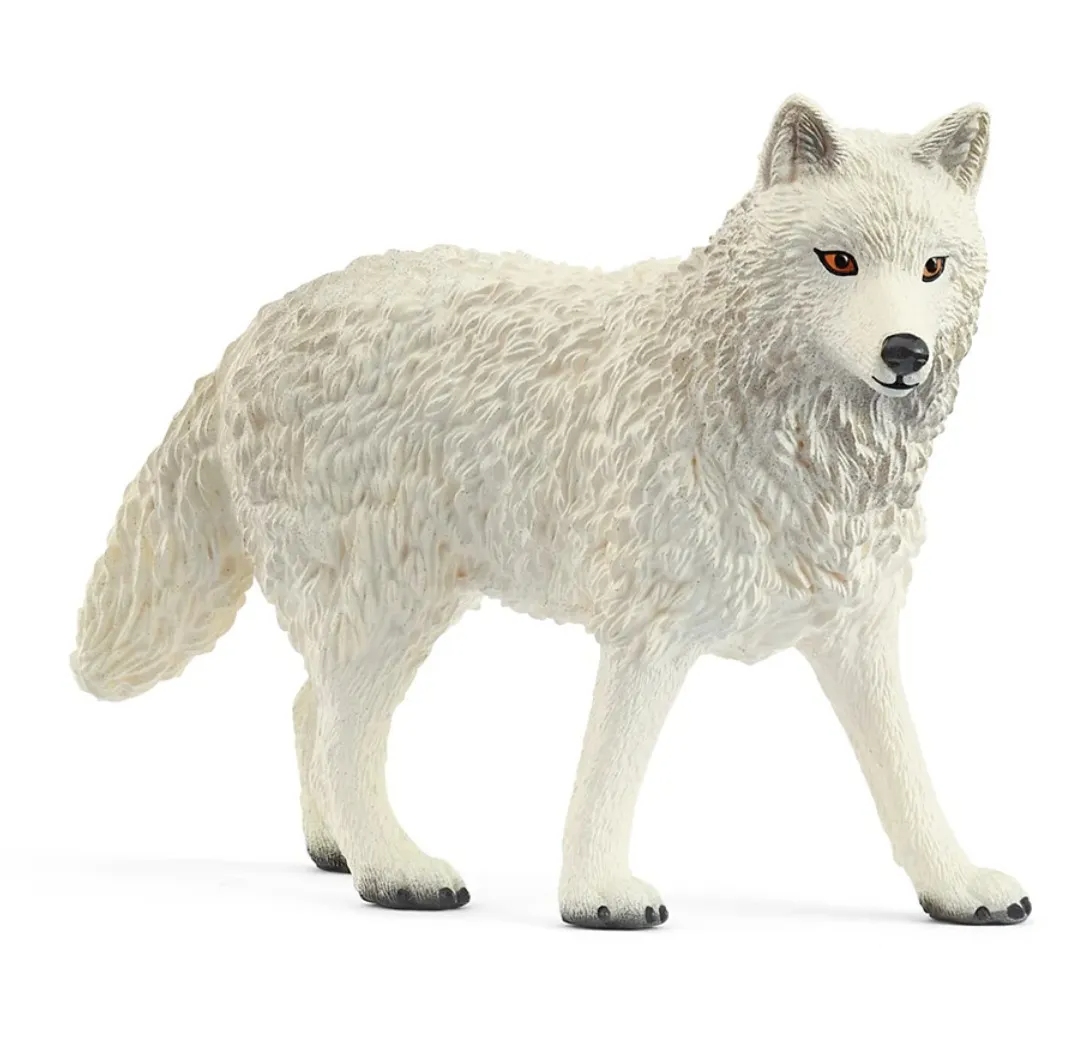 Arctic Wolf