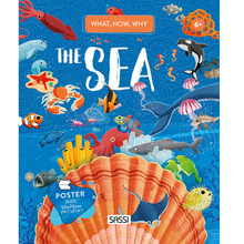 What, How and Why Book and Poster - The Sea
