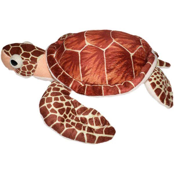 Cuddlekins - Mini Loggerhead Sea Turtle