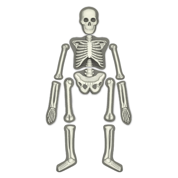 KidzLabs - Glow Human Skeleton