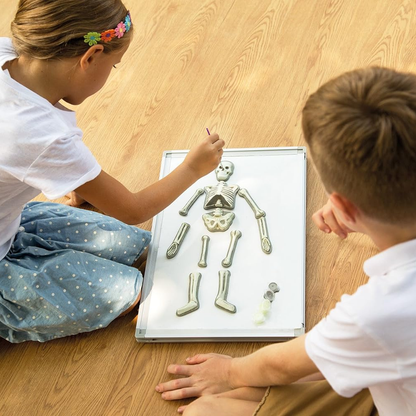 KidzLabs - Glow Human Skeleton