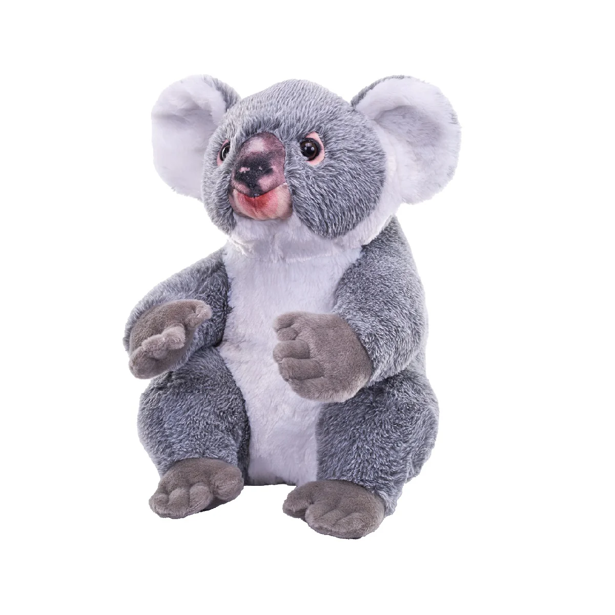 Artist - Mini Koala