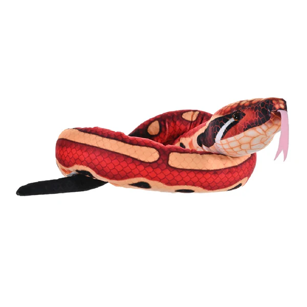 Snake - Blood Python