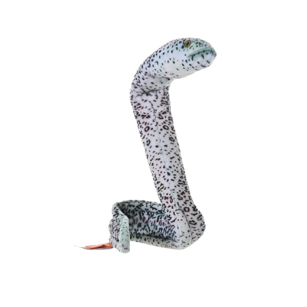 Coilkins Peppered Moray Eel