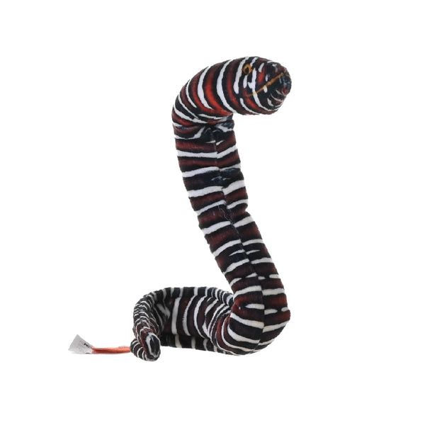 Coilkins Zebra Moray Eel