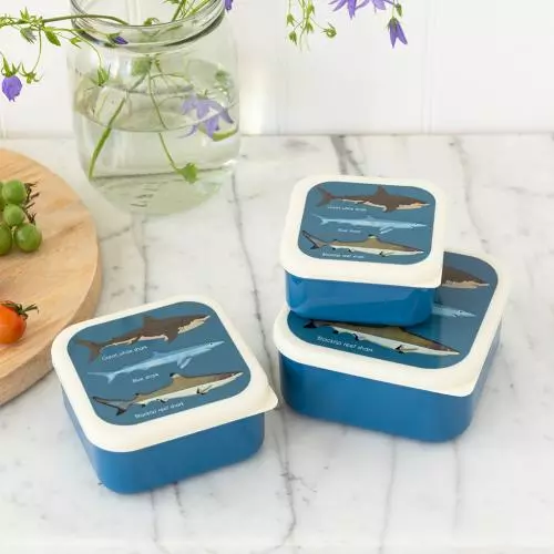 Snack Boxes Set of 3 - Sharks