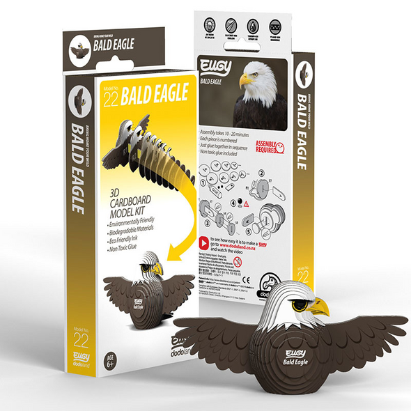 3D Cardboard Model Kit - Bald Eagle