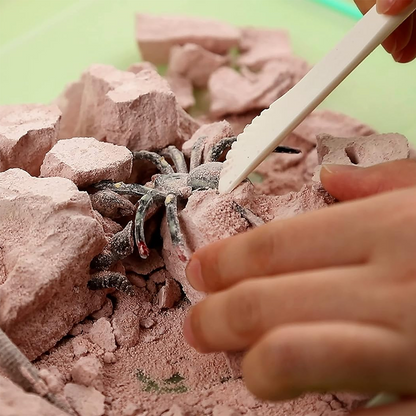 KidzLabs - Creepy Crawly Digging Kit
