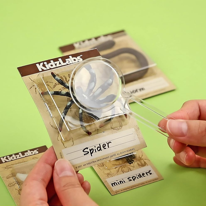 KidzLabs - Creepy Crawly Digging Kit