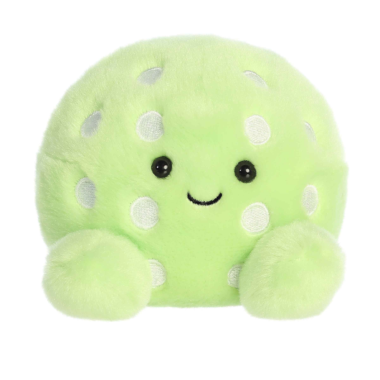 Palm Pals - Steve Pickleball