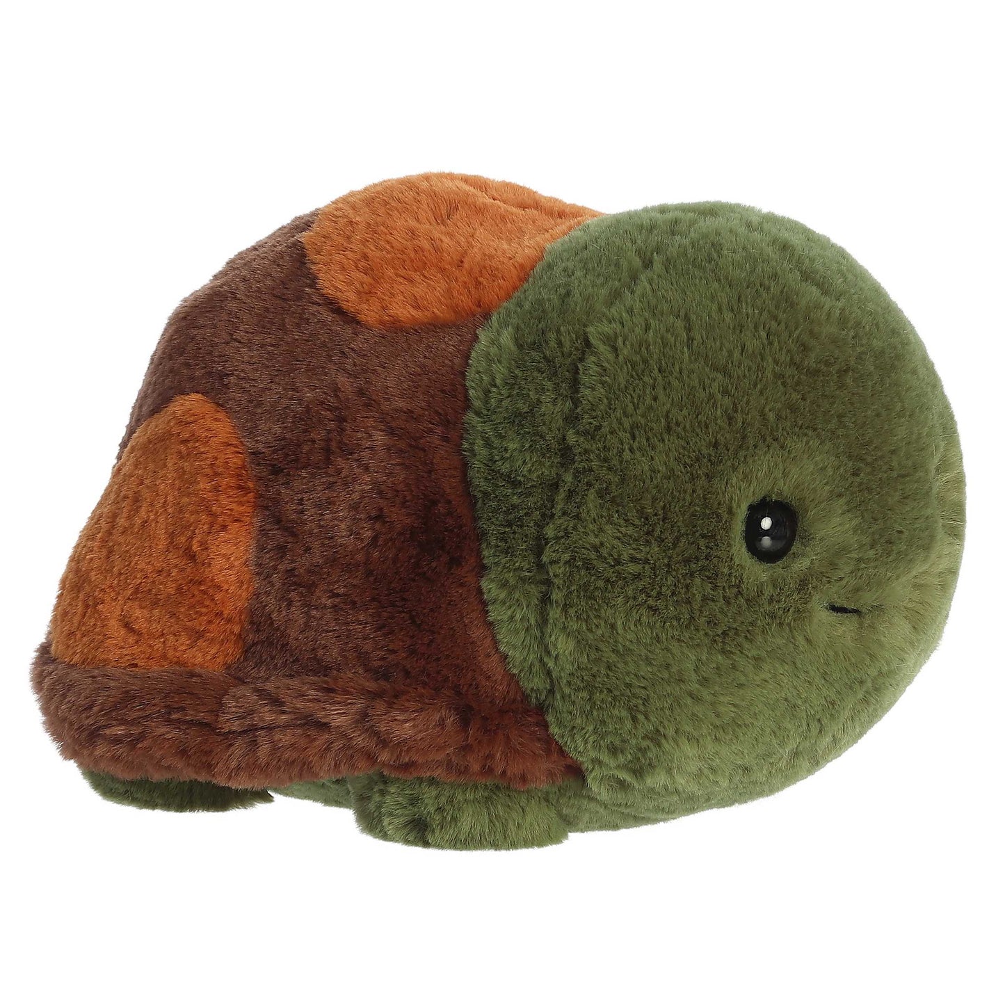 Tony Turtle